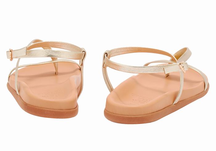 Sandales Bride Arrière Ancient Greek Sandals Aimilia   | TGI-4712572